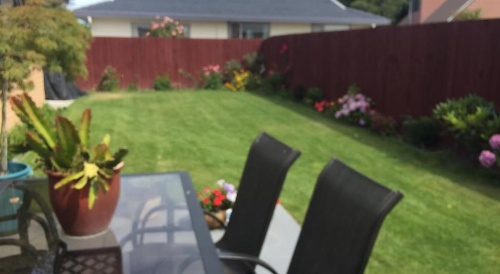 Cozy Cozy Guest House image 4